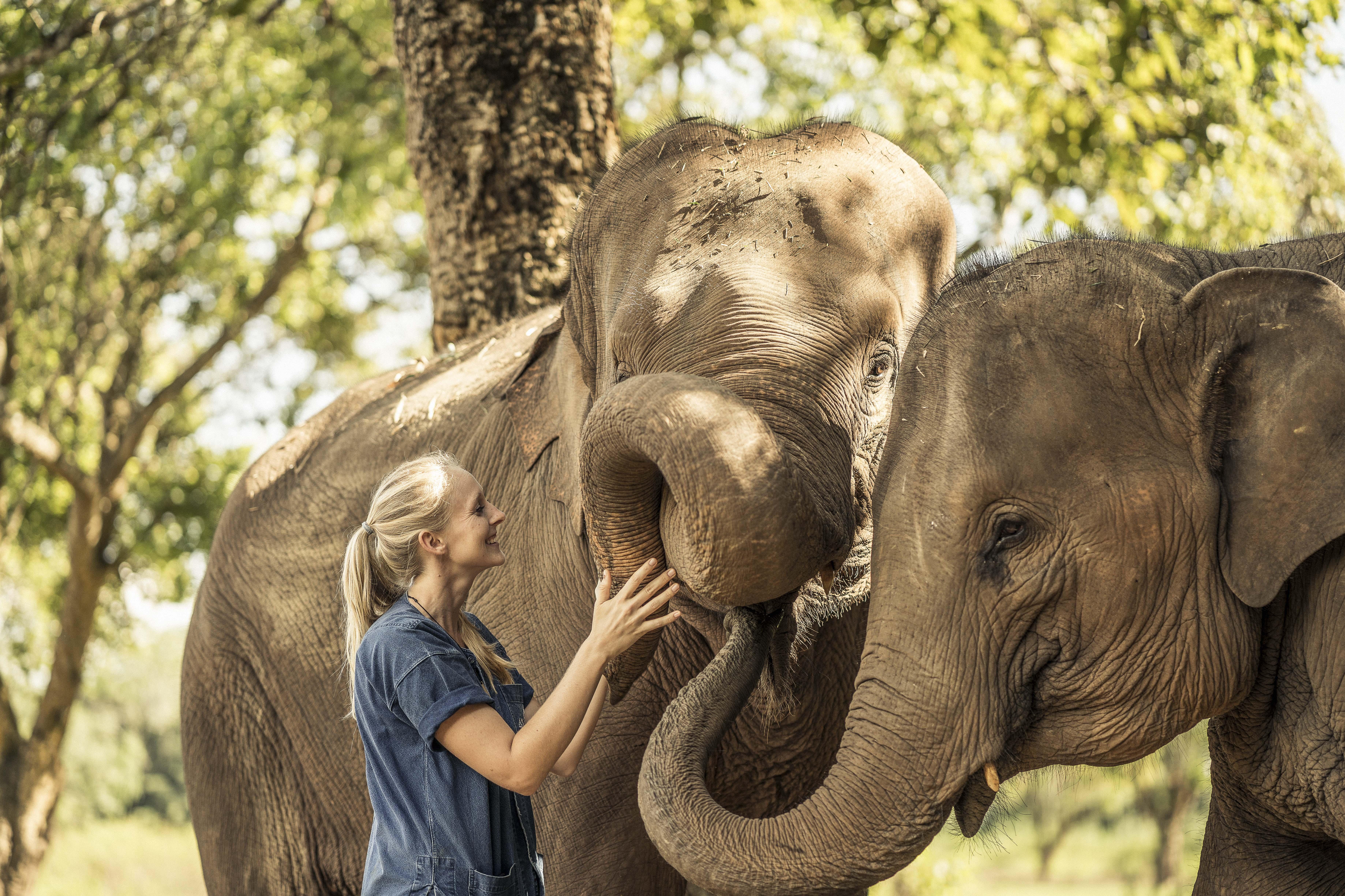 Anantara Golden Triangle Elephant Camp & Resort Chiang Rai Exterior photo