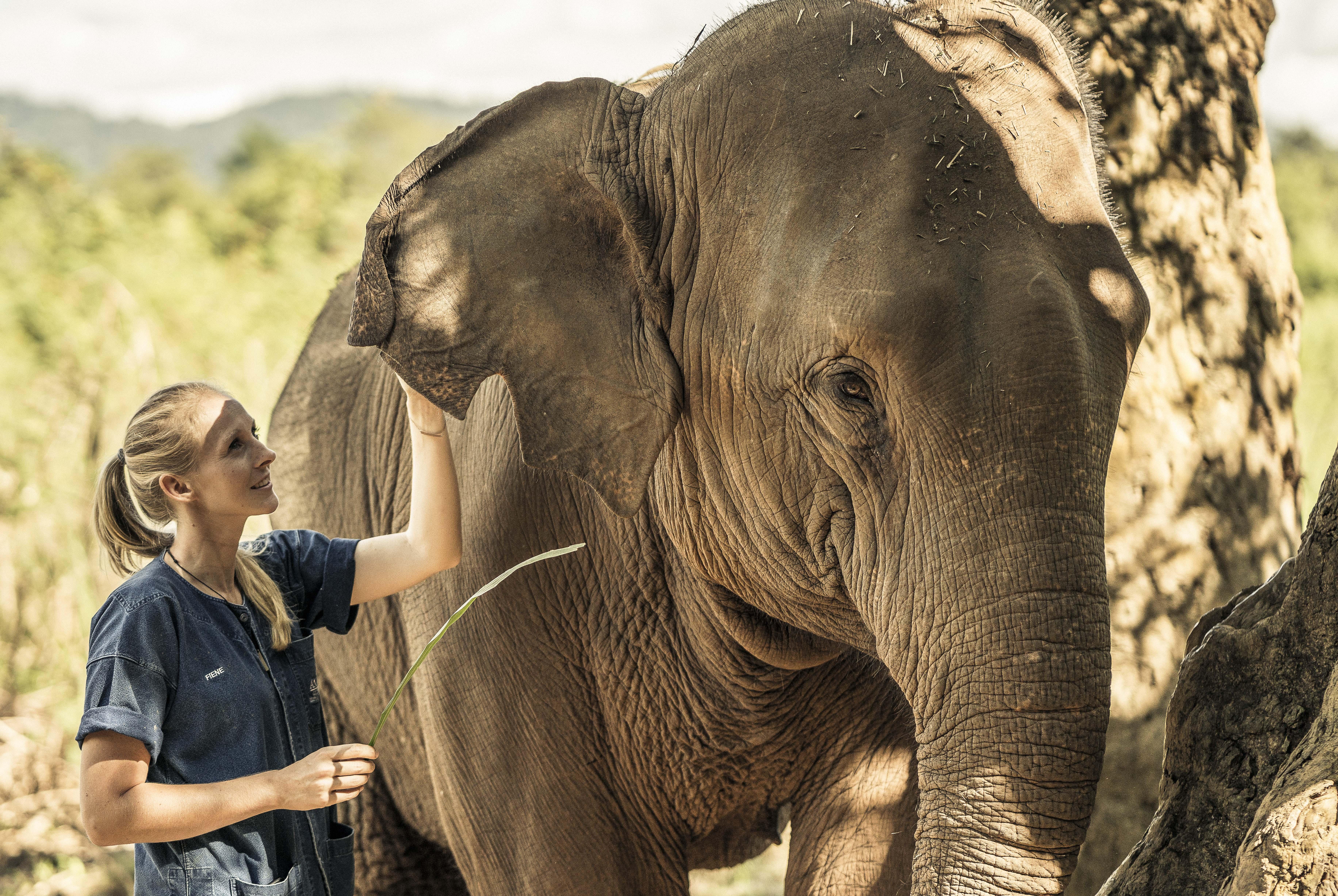 Anantara Golden Triangle Elephant Camp & Resort Chiang Rai Exterior photo