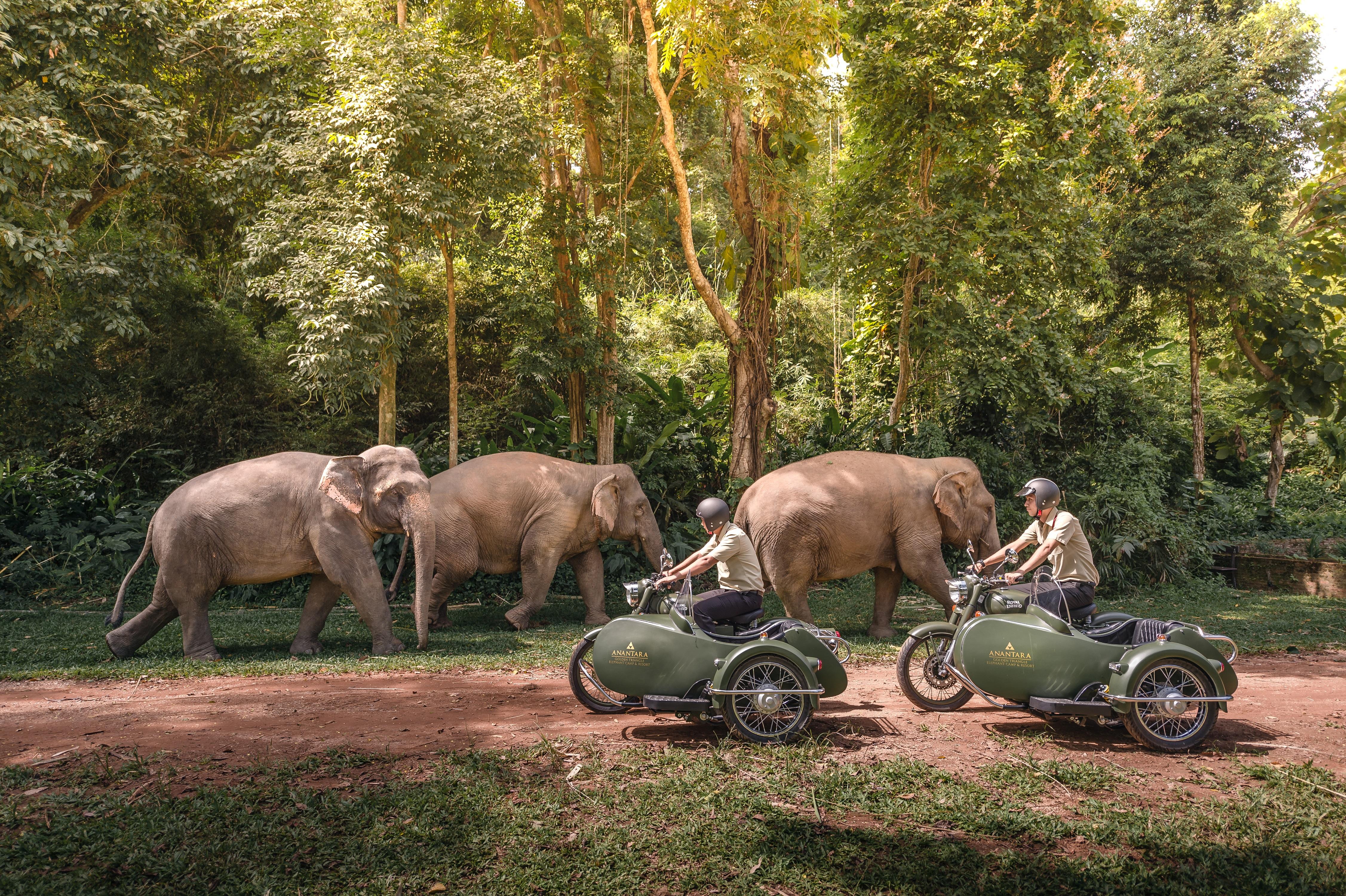 Anantara Golden Triangle Elephant Camp & Resort Chiang Rai Exterior photo